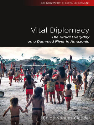 cover image of Vital Diplomacy